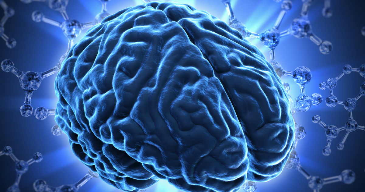 All about the four brain chemical personalities.